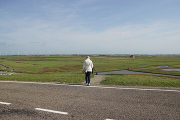 Obraz premium View from the dike (Hondsbossche Zeewering) on the cycle path over the Dutch meadow landscape near Petten. September, Netherlands.