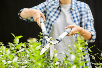 gardening and people concept - woman with pruner or pruning shears cutting branches at summer garden
