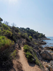 Footpaths though the wild and protected National park of Cap lardier at the foot of Massif des Maures in La Croix Valmer between Saint-Tropez and Cavalaire  