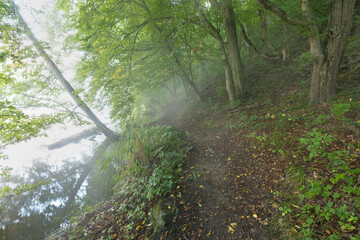 Summer sunrise at the river bank. Beautiful misty landscape with pathway and a river view. Misty colorful autumn nature.