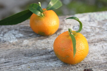 Mandarina | Mandarine
