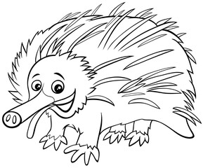 funny cartoon echidna animal coloring book page
