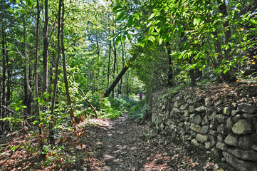 Foresta della Serra Morenica a Magnano - Biella	