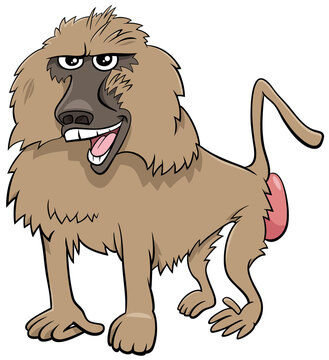 recommend clip art: baboon monkey wild animal cartoon illustration