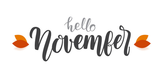 Autumn handwritten type lettering of Hello November with fall leaves. © deniskrivoy