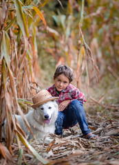 Bimbo e il suo amico cane in un campo di granoturco