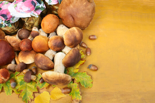 Freshly harvested forest mushrooms on a background of yellow boards