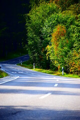 S-Kurve einer herbstlichen Allee