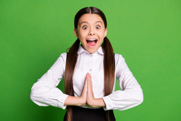 Photo of cute charming small girl ponytail hairstyle schoolchild excited open mouth hold pleading...