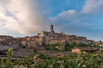 Fototapeta na wymiar Panoramablick auf die Altstadt von Siena in der Toskana in Italien