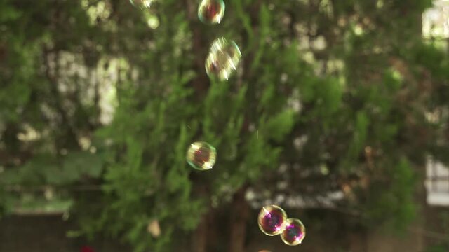 Transparent bubbles flying into the air, light colorful spheres on green background