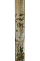 old metal pole isolated on white background