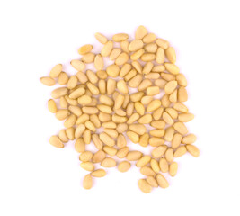 pine nuts isolated on white background