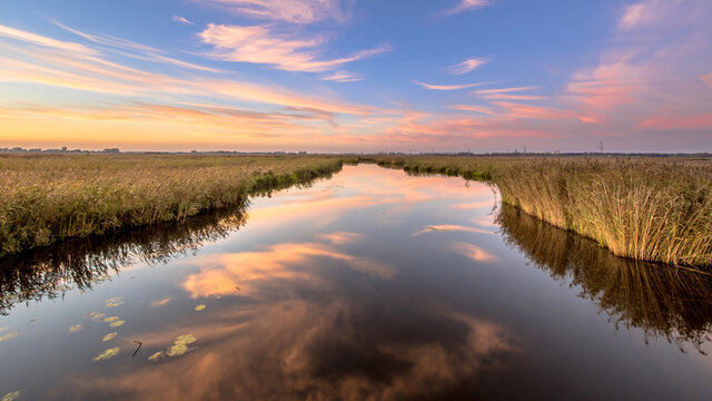 River through marshland with floating water lily