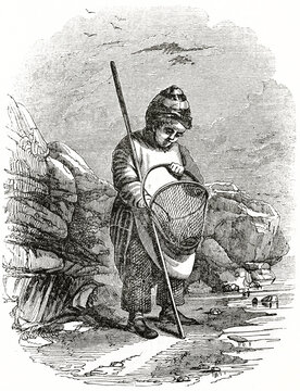 shrimp fisherman (shrimper) looking in his net on a rocky shore. Ancient engraving grey tone art by unidentified author, The Penny Magazine, London 1837