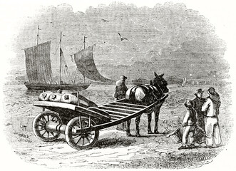 Cart carrying fishing products on shoreline fronting sea with sailboat. Ancient engraving grey tone art by unidentified author, The Penny Magazine, London 1837