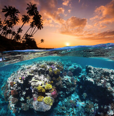 Underwater Scene With Reef And Tropical Fish. Snorkeling in the tropical sea. Summer vacation at sea