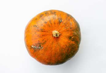 pumkin or squash  isolated on white background ,autumn fall , halloween thanksgiving.top view .