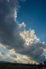 Landscape with deciduous trees and large clouds at sunset.