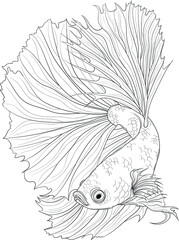 Realistic dragon fish sketch. Fighting fish vector illustration in black and white for games, background, pattern, decor. Print for fabrics and other surfaces. Koi fish coloring paper, page, book.