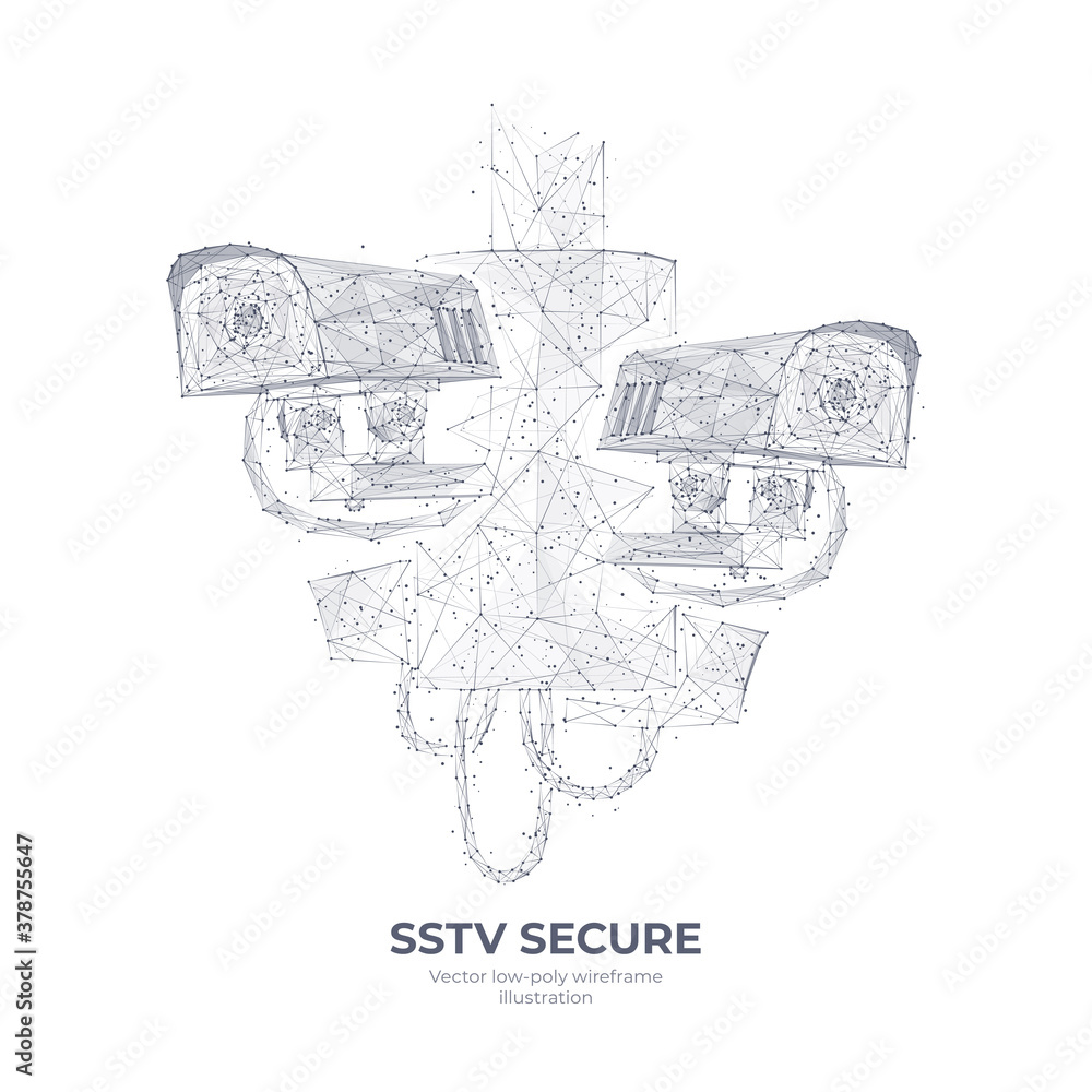 Aufkleber Abstract 3d illustration of two SSTV cameras. Polygonal mesh wireframe isolated in white background. Slow scan television secure concept with connected dots and lines. Vector sketch drawing