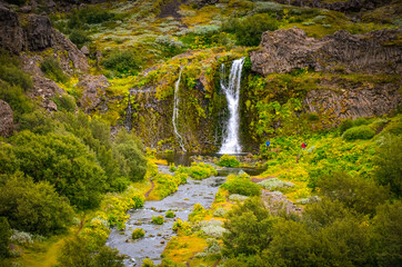 Fototapeta premium The photo shows The Gjain. The place on Iceland with scenic waterfalls and ponds.
