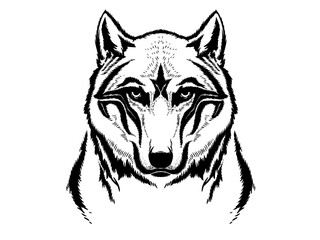 Wolf's face © belapamungkas1