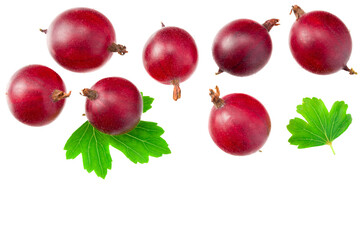 red gooseberry with leaves isolated on white background. Top view.