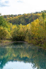 黄葉の木々を映す秋の青い池　美瑛町
