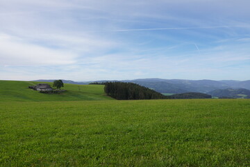 Fototapeta premium Wiesenlandschaft im Schwarzwald