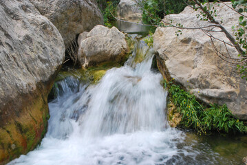 Petite cascade du Verdouble 