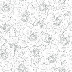 Realistic gardenia flower seamless pattern template in black and white. Jessamine vector illustration for games, background, pattern, decor. Print for textile, fabrics and other surfaces. Coloring pap