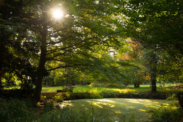 Burgruine Windeck bei ottrott im Elsass