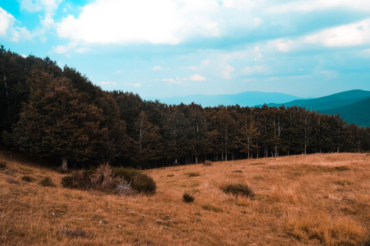 autumn in the mountains