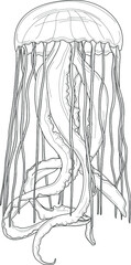 Realistic jellyfish sketch template. Cartoon vector illustration in black and white for games, background, pattern, decor. Print for fabrics and other surfaces. Coloring paper, page, story book.
