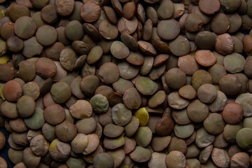 Pile of dry french green puy lentils, isolated on background