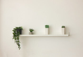 white wall with shelf with green small plants. minimal decoration at home