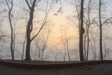 In the morning, the sun through the fog creates unusual and beautiful effects of color and light