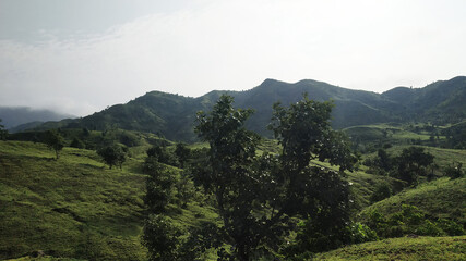 Traveling through the nature.