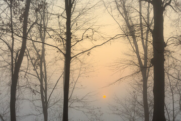 Fototapeta na wymiar In the morning, the sun through the fog creates unusual and beautiful effects of color and light