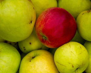 apples