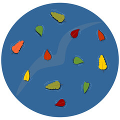 Autumn leaves on the water, poplar leaf, oak leaf. Colorful vector illustration with shadows