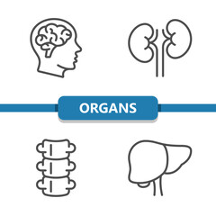 Internal Organs Icons