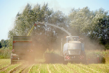 Fototapeta premium Landwirtschaft: Maishäcksler und Traktor mit Anhänger bei der Ernte von Mais auf einem Feld