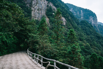 Fototapeta na wymiar Path leading to forest on Wugong Mountain in Jiangxi, China