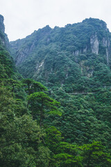 Trees and cliffs on top of Wugong Mountain in Jiangxi, China
