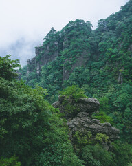 Fototapeta na wymiar Trees and cliffs on top of Wugong Mountain in Jiangxi, China
