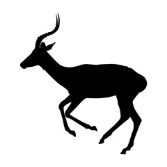 Running Impala (Aepyceros Melampus) On a Side View Silhouette Found In Map Of Southern and Eastern Africa. Good To Use For Element Print Book, Animal Book and Animal Content