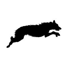 Jumping Irish Wolfhound On a Side View Silhouette Found In Ireland. Good To Use For Element Print Book, Animal Book and Animal Content
