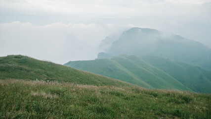 Grassland on mountain ridge covered in clouds on Wugong Mountain in Jiangxi, China